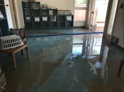 A Maryland home in Elkridge, MD with drying equipment during a water damage job