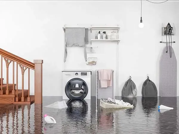 An appliance supply line leak flooding an Elkridge, MD laundry room