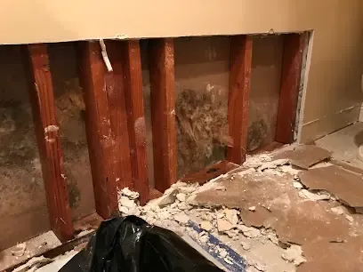 An opened wall drying out after a frozen pipe burst in an Elkridge, MD home